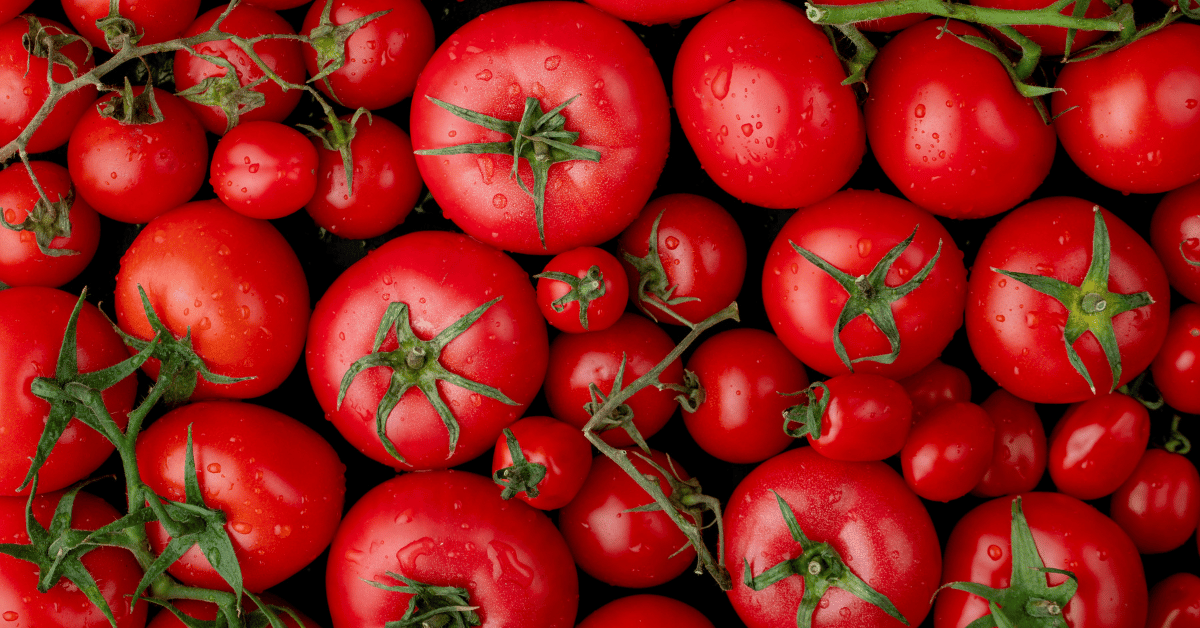 cerstve-paradajky