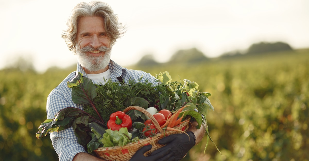 close-up-old-farmer-holding-basket-vegetables-man-is-standing-garden-senior-black-apron